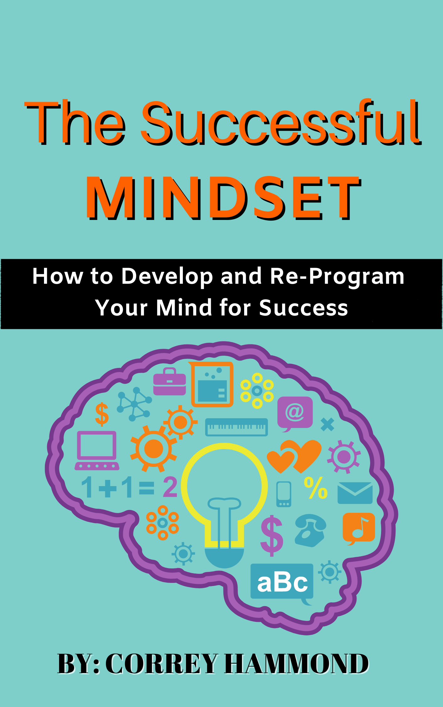 The Successful Mindset