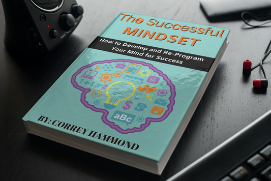 The Successful Mindset